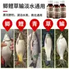 Licor de Medicina Tradicional China para Pesca, Medicina Pequeña, General para Pozos Negros de Pesca Salvaje Carpa Crucian, Carpa, Cebos para Carpa y Carpa Crucian, Aditivo Atractor de Peces, Atractante Alimenticio
