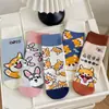 Calcetines de Oso Fresa Estilo Coreano para Estudiantes Medios ins Tendencia Estilo Japonés Lindos Dibujos Animados Rosa Todo en Uno En Stock Venta al por Mayor