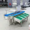 Máquina Clasificadora de Alitas de Pollo y Patas de Pollo, Sistema Automático de Pesaje, Máquina Clasificadora por Peso de Productos del Mar, Línea de Ensamblaje, Máquina Deshuesadora de Pollo Blanco