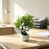 Adornos de Plantas Verdes Mini al por Mayor Decoración de Escritorio Tira de Planta de Simulación Maceta Rayada Pino de Bienvenida Verde Planta Pequeños Adornos