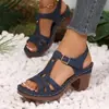 Novas Sandálias de Plataforma com Bico Aberto e Boca de Peixe Plus Size de Comércio Exterior para Mulheres, Chinelos de Praia Vazados com Salto Grosso e Fivela Transfronteiriços wish