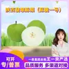 Seleção Premium Pera Crocante de Jade de Shaanxi - Serviço de Entrega 2,5kg Crocante Nº 1 Pele Verde Grande Suculenta Fresca Fruta da Estação
