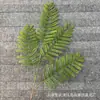 Espárrago largo explosivo hierba dragón hierba dragón boda simulación planta verde material floral auditorio de bodas material de hoja de bosque suave