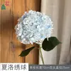 Hortensia Charlotte Tallo Único Diámetro Extra Grande Fondo de Boda para Hortensias Pared de Flores Flor de Seda Accesorio de Fotografía Flor Artificial Decorativa