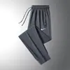Pantalones Casuales de Seda de Hielo para Hombre, Pantalones Largos de Pierna Recta Finos de Verano, Pantalones Deportivos Elásticos Transpirables Frescos para Exteriores de Talla Grande para Hombre