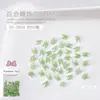Acessórios para Nail Art: Pétalas e Folhas de Lírio de Resina 3D, Flores de Lírio de Cinco Pétalas, Decorações de Unha Usáveis, 50 Peças