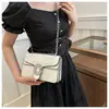Bolso de Mano para Mujer Estilo Vintage con Tacto de Alta Calidad, Nuevo Bolso Cuadrado Pequeño de Cadena Tendencia Primavera/Verano 2024 con Compartimentos y Hebilla de Cierre
