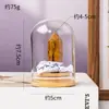 Columna de Cristal Natural Transfronteriza Flor Eterna Adorno de Tapa de Vidrio Prisma Hexagonal de Cristal Hecho a Mano DIY Flor Seca Regalo Creativo