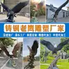 [Exportación Transfronteriza] Escultura Grande de Águila de Cobre Fundido, Escultura de Animal de Cobre para Paisajismo Exterior, Fabricante de Estatua de Águila de Cobre Fundido