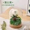 61º Día del Niño DIY Flor Eterna Tapa de Cristal Hecho a Mano Materiales de Flores Secas Kit Jardín de Infancia Construcción de Equipo Padre-Hijo Taller de Arreglos Florales