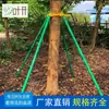 Poste de soporte de árbol de tubería de acero galvanizado con soporte de manguito de plástico, poste de soporte a prueba de viento para paisajismo de jardín, tijeras de podar aéreas