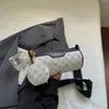 Bolso de nicho de alta gama para mujer, nuevo bolso de hombro de moda 2026, versátil para el trabajo, correa ancha para el hombro, bolso cruzado cilíndrico