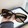 Óculos de Sol Estilo Gatinho Ins Europeus e Americanos para Mulheres, Óculos de Sol Polarizados de Alta Qualidade para Homens, Proteção UV, Óculos de Influenciador Estilo de Rua
