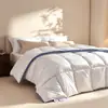 Colcha de fibra espacial Clase A, colcha universal para todas las estaciones, colcha de primavera y otoño, colcha de invierno, ropa de cama para estudiante de dormitorio individual