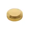Suministro Directo de Fábrica tapa de tornillo para clavo de espejo de cobre latón espeso clavo de espejo sólido tornillo publicitario cubierta decorativa
