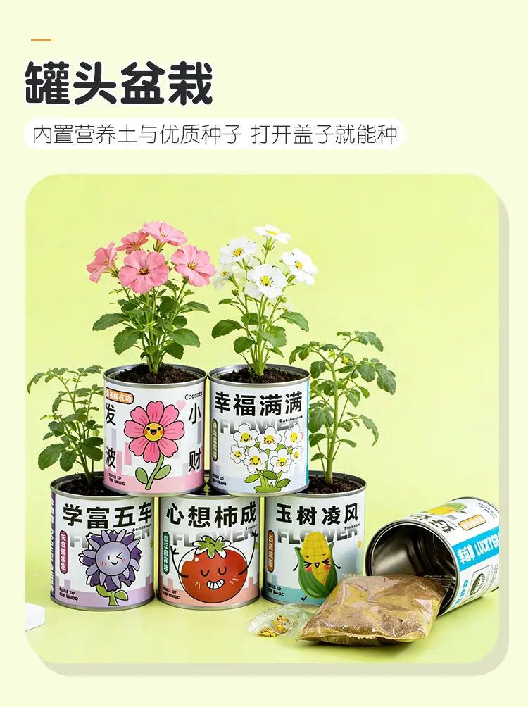 创意盘栽_03.jpg