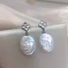Brincos de Pérola de Água Doce Naturais Estilo Barroco com Zircônia Trevo de Quatro Folhas Quadrado de Pérola Zhuji Brincos de Pérola Genuína de Alta Qualidade Atacado