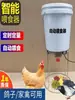 Alimentador Automático para Frangos, Patos, Gansos, Pombos, Peixes, Camarões e Cachorros; Alimentador Programável; Alimentador de Frango Remoto Alimentado por Energia Solar