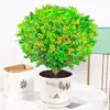 Planta de Flor de Milán en Maceta con Capullos, Floreciendo, Fragancia Fuerte, Planta Verde Repelente de Mosquitos para Interior Balcón, Adecuada para Todas las Estaciones