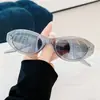 Óculos de Sol Gatinho Tendência Estilo Europeu e Americano para Homens, Estilo de Rua Fashion, Óculos de Sol Elegantes com Armação Pequena Proteção UV