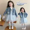 Elegante vestido de mezclilla de manga larga para niña para primavera y otoño, moderno conjunto de vestido de princesa para niños pequeños, atuendo otoñal de moda