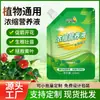 Solución nutriente concentrada universal para plantas con flor plantas verdes plantas de maceta tallos amarillentos planta del dinero solución nutriente para plantas solución nutriente concentrada