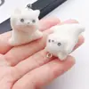Accesorios de Resina de Perro Animal 3D Afelpado Llavero de Dibujos Animados Colgante de Joyería Hecha a Mano Venta Caliente Transfronteriza