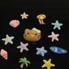Estilo Resort Serie Kt Océano Accesorios de Resina DIY Funda para Teléfono Amuletos para Zapatos Flores para Zapatos Pinzas para el Cabello Accesorios para el Cabello Materiales