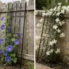 Decoração de Grelha para Jardim Zhixiao Painel de Treliça Metálica Preta para Cercas Externas para Cantos de Pátio para Plantas Trepadeiras e Flores