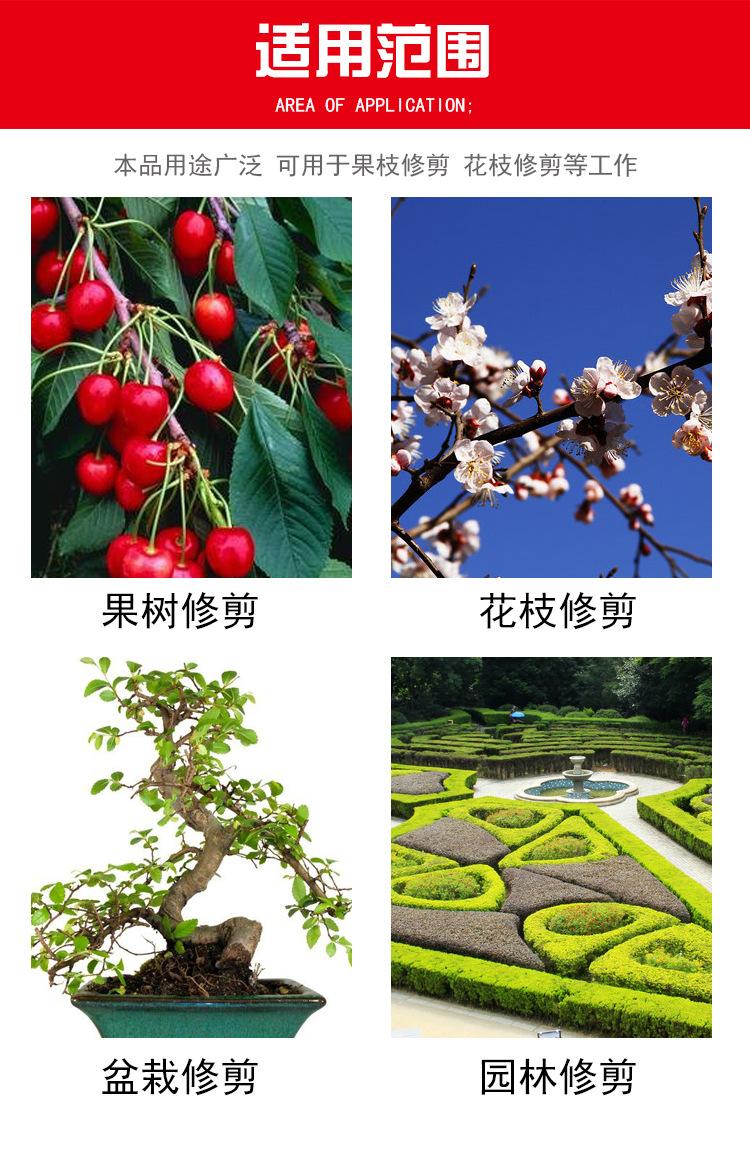 丰川果枝剪1_04.jpg