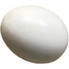 10 Piezas con Envío Gratis, Huevos Falsos para Pájaros, Loros, Huevos de Apariencia Real, Huevos de Pinzón Perla, Huevos de Agapornis, Huevos de Periquito, Huevos Señuelo