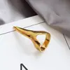 Amazon Europeo y Americano Estilo Punk Simple Elegante Exagerado Garra Cabello Uña Anillo Anillo Accesorios Wolverine