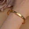 Pulseira de Aço Titânio para Meninas, High-End, Fashion, Luxo Leve, Aço Inoxidável Simples, Pulseira de Diamante Trevo, Joia para Casal