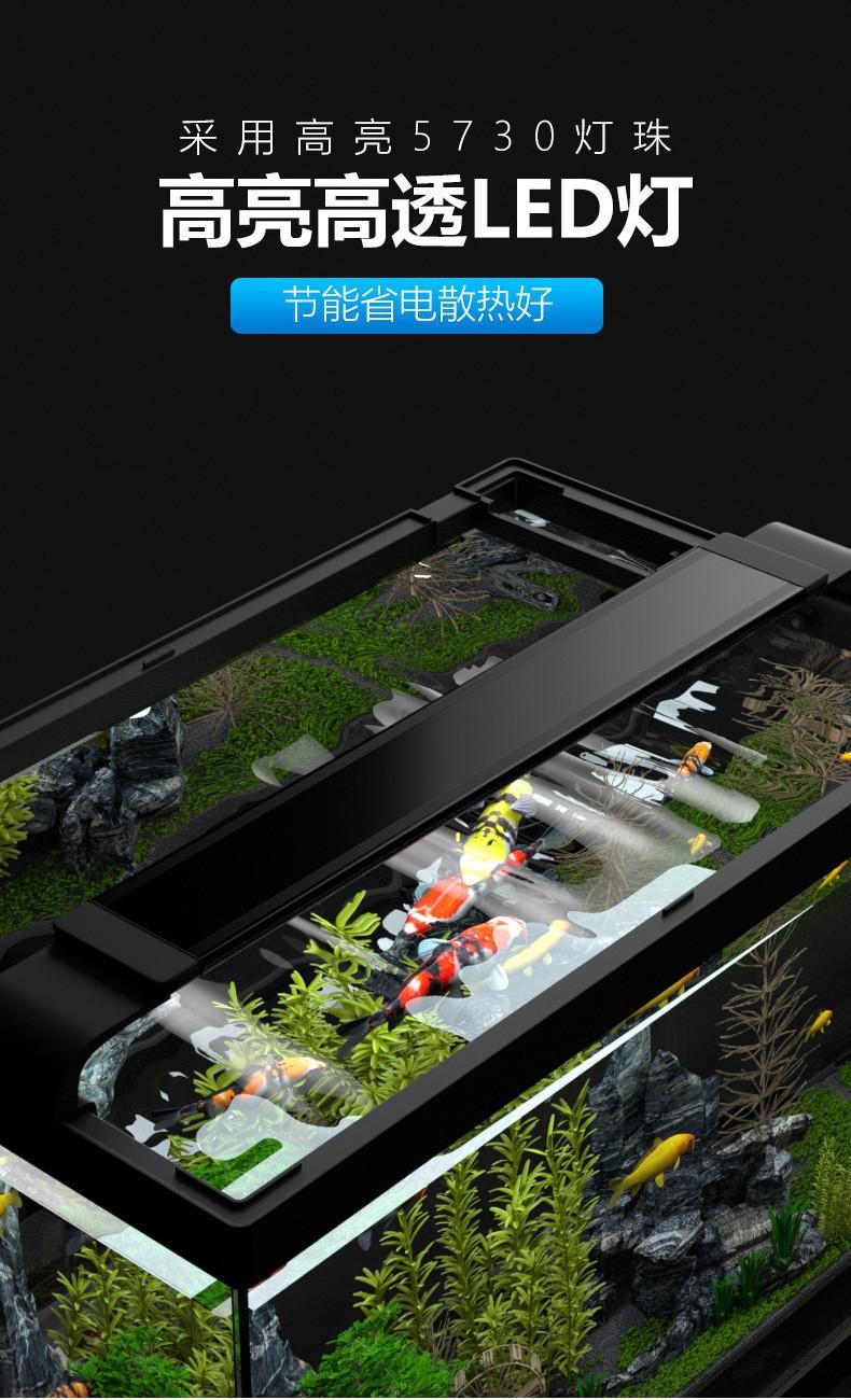 14495507669_92899148