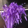 Hierba de Amante Flor Eterna Flor Real Natural Ramo de Flores Eternas Caja de Regalo para el Día de San Valentín con Arreglo Floral de Aromaterapia Especial al por Mayor