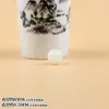 Várias Contas Soltas de Semente de Bodhi, Contas de Raiz de Bodhi Estrela e Lua, Contas Vajra com Contas DIY Acessórios para Joias Artesanais com Contas