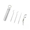Set de Limpieza de Palillos de Acero Inoxidable Transfronterizo, Hilo Dental, Palillo de Metal, Tubo de Almacenamiento Portátil, Herramientas Bucales Dentales, Bastoncillos de Algodón
