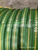 Venta al por mayor del fabricante Correa Plana Verde Correa Plana Verde Exportación Nacional Correa de Transmisión Correa de Goma