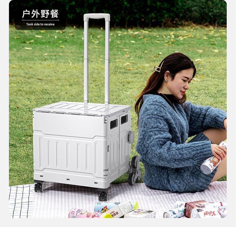b20bf46a-9f41-4f21-91e6-cf26d68e5cbc.jpe