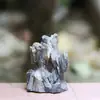 Musgo Micro-Paisagismo Jardim Ecológico em Garrafa Rochoso de Resina Planta em Vaso para Desktop Montagem DIY Decoração de Planta Suculenta em Vaso