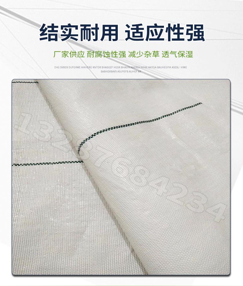 白色防草布_03