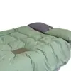Juego de ropa de cama de cuatro piezas de algodón puro terciopelo de leche versión AB para otoño e invierno, funda de edredón de forro polar coral engrosada, sábana, sábana bajera juego de tres piezas