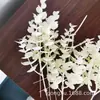 Plantas Artificiales al por Mayor: Planta del Dinero de Tres Hojas, Arreglo Floral Verde DIY de Eucalipto, Accesorios de Pared de Plantas Artificiales