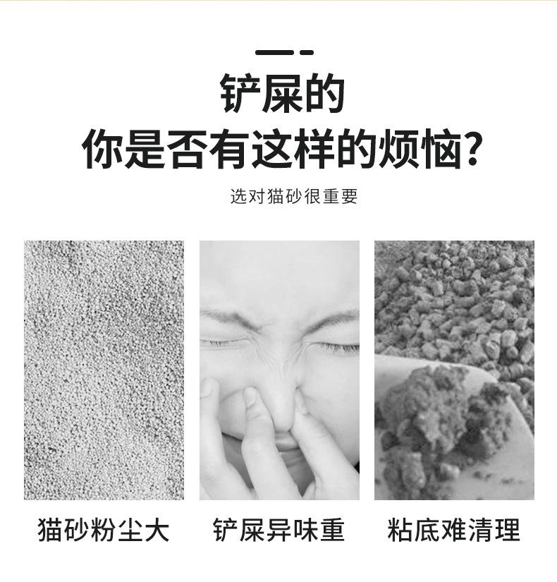 1_02.jpg
