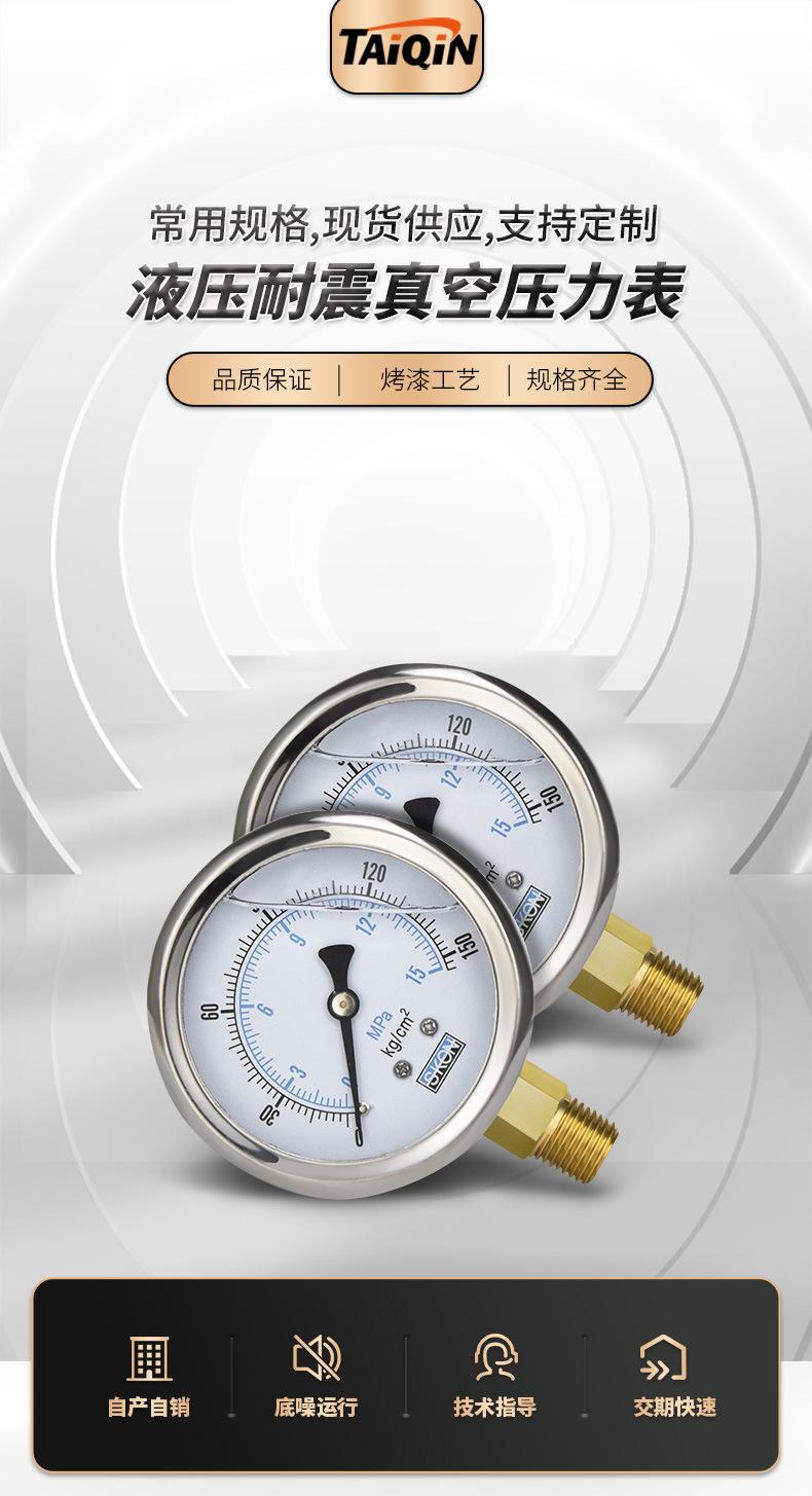 耐震压力表详情_01.jpg