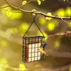 Comedero para Pájaros Cuadrado Transfronterizo con Malla de Alambre para Exteriores, Colgante con Cadena para Colibríes y Periquitos