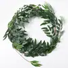 Folha Verde com Fruta Eucalipto Rattan Amazônia Artificial Criptografado Dinheiro Eucalipto Folha de Salgueiro Planta Trepadeira Rattan Decorativo