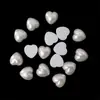 Concha de telefone Pérola não porosa em formato plano adesivos de nail art beleza acessórios de cabelo com diamante material DIY feito à mão Acessórios Atacado