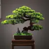 Novo Bonsai Artificial Estilo Chinês Inspirado em Zen Pinheiro Acolhedor e Pinheiro Arhat para Decoração de Escritório, Sala de Estar e Hall de Entrada