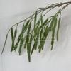 Vagens Verdes Artificiais, Vagens de Ervilha, Decoração de Casamento, Plantas Verdes, Flores Artificiais, Plantas Verdes Artificiais, Materiais para Flores Pendentes, Atacado para Exportação